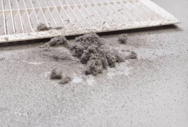 Best Professional Duct Cleaning Services  in Lake Holiday, IN